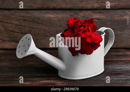 Belle fleur rouge en arrosoir sur table en bois Banque D'Images