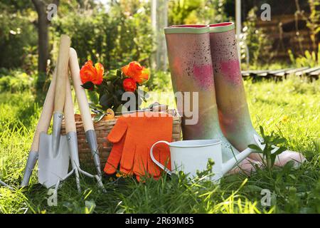 Paire de gants, outils de jardinage, rosier en fleur et bottes en caoutchouc sur l'herbe à l'extérieur Banque D'Images