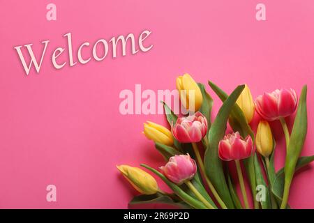 Carte de bienvenue. Belles fleurs de tulipe et mot sur fond rose, vue de dessus Banque D'Images