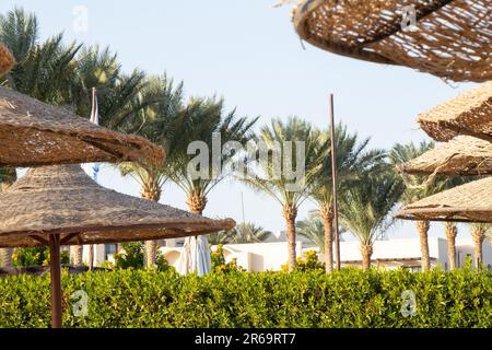 parapluie en osier sur une plage d'hôtel en egypte, par une journée ensoleillée Banque D'Images