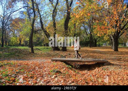 La photo a été prise dans la ville ukrainienne d'Odessa. La photo montre une jeune femme marchant dans un parc d'automne appelé jardin de Dyukovsky sur un soleil Banque D'Images