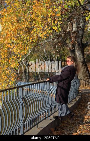 La photo a été prise dans le parc public d'Odessa appelé Victory Park. La photo montre une jeune femme attrayante debout près d'un étang dans un parc d'automne. Banque D'Images