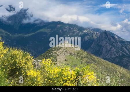 Corse, ancienne forteresse génoise dans la montagne, sur une colline, au printemps Banque D'Images