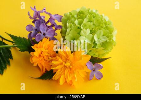 Arrangement floral sur fond jaune. Gros plan de boule de neige chinoise verte, kerria japonais jaune et bouquet de fleurs lilas violettes. Banque D'Images