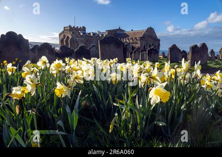 Église de Sainte-Marie, plaine de l'abbaye, Whitby, Yorkshire du Nord Banque D'Images