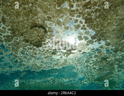 Vue sous l'eau à une couche épaisse de graisse couvrant la surface de l'océan, par beau temps ensoleillé, au ralenti. Gros plan lentement sur une couche grasse de déchets Banque D'Images