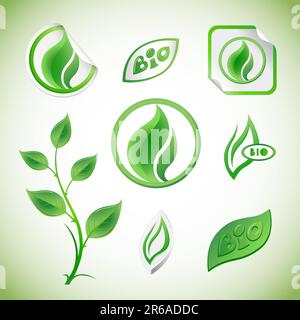 Ensemble d'éléments, étiquettes et autocollants verts à motif floral Illustration de Vecteur