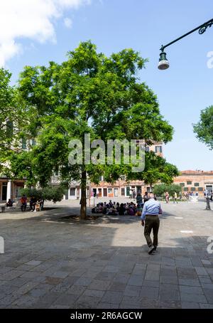 Les écoliers de Venise se réfugient à l'ombre d'un arbre au milieu de la place dans le ghetto juif historique Banque D'Images