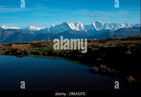 Étang sur le Niederhorn, Oberland bernois (Europe) (automne) (paysages) (paysage) (horizontal), Alpes, Suisse Banque D'Images