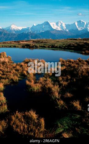 Étang sur le Niederhorn, Oberland bernois (Europe) (automne) (paysages) (Gebirge) (montagnes), Alpes, Suisse Banque D'Images