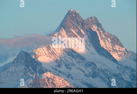 Sommet alpin, Oberland bernois (Europe) (paysages) (montagnes) (paysage) (horizontal), vue de Niederhorn, Suisse Banque D'Images