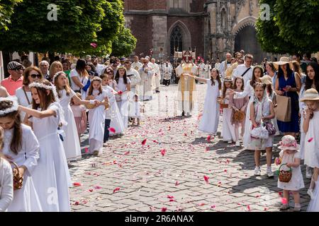 Wroclaw, Pologne. 8th juin 2023. 08 juin 2023 Wroclaw, Pologne. Cortège de Corpus Christi. (Credit image: © Krzysztof Kaniewski/ZUMA Press Wire) USAGE ÉDITORIAL SEULEMENT! Non destiné À un usage commercial ! Banque D'Images