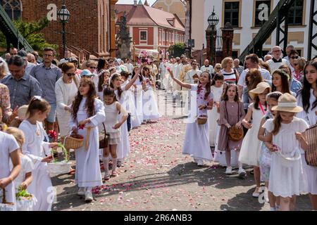 Wroclaw, Pologne. 8th juin 2023. 08 juin 2023 Wroclaw, Pologne. Cortège de Corpus Christi. (Credit image: © Krzysztof Kaniewski/ZUMA Press Wire) USAGE ÉDITORIAL SEULEMENT! Non destiné À un usage commercial ! Banque D'Images