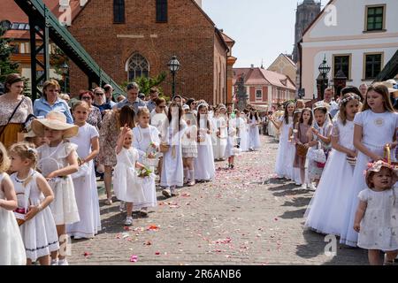 Wroclaw, Pologne. 8th juin 2023. 08 juin 2023 Wroclaw, Pologne. Cortège de Corpus Christi. (Credit image: © Krzysztof Kaniewski/ZUMA Press Wire) USAGE ÉDITORIAL SEULEMENT! Non destiné À un usage commercial ! Banque D'Images