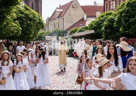 Wroclaw, Pologne. 8th juin 2023. 08 juin 2023 Wroclaw, Pologne. Cortège de Corpus Christi. (Credit image: © Krzysztof Kaniewski/ZUMA Press Wire) USAGE ÉDITORIAL SEULEMENT! Non destiné À un usage commercial ! Banque D'Images