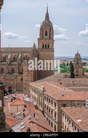 Espagne historique, vue sur la Catedral Nueva située au-dessus des toits pittoresques de la Calle Francisco de Vitoria dans la ville historique de Salamanque Banque D'Images