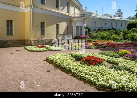 Pavlovsk, jardin de l'impératrice Maria, lit de fleurs, Saint-Pétersbourg Banque D'Images