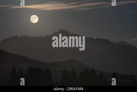 Pleine lune sur le sommet du mont Krivan - symbole slovaque - silhouettes des arbres forestiers en premier plan, photo du soir Banque D'Images