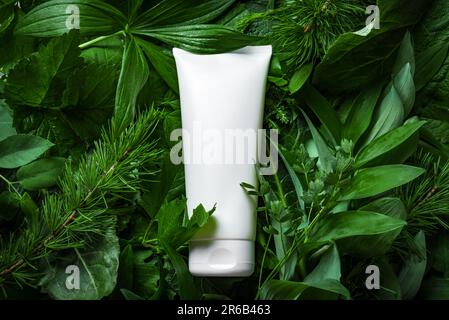 Tube de produit cosmétique biologique sur les feuilles vertes comme arrière-plan. Concept de soin de la peau naturel éco-cosmétique et biologique à base de plantes. Banque D'Images