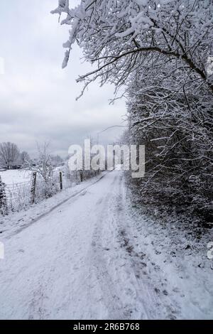 Une scène d'hiver pittoresque avec une route sinueuse, bordée d'arbres, menant à travers un champ enneigé Banque D'Images