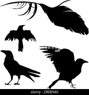 Ensemble de silhouette vectorielle d'un corbeau, d'un corbeau, d'un oiseau et d'une plume. Illustration de Vecteur