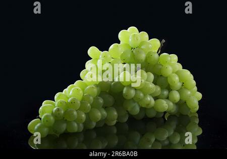 Bouquet de raisins blancs avec gouttes d'eau sur fond noir Banque D'Images