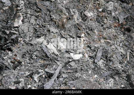 cendres, calinders de feu ont brûlé des feuilles sèches sur le sol. monochromatique Banque D'Images