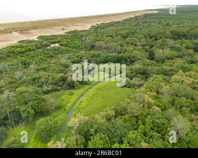 Le site naturel du Metro est situé au sud du département des Landes. Il est composé de dunes, de franges forestières, de forêts mixtes et de zones humides. Banque D'Images