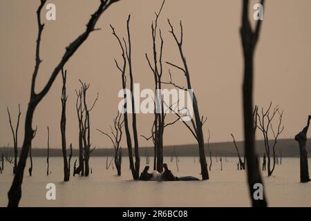 La rivière attire tant de vie. Parc national de Matusadona, Zimbabwe : CES SUPERBES photos montrent un lac artificiel avec la vie comme animaux de pâturage Banque D'Images