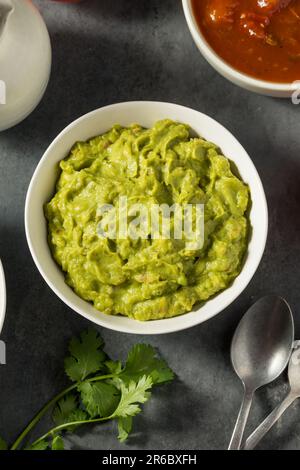 Bio avocats Guacamole trempée à la tomate maison Banque D'Images