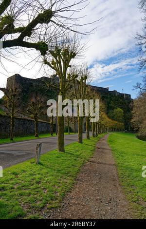 Vue sur le château de Bouillon dans les Ardennes en Belgique Banque D'Images