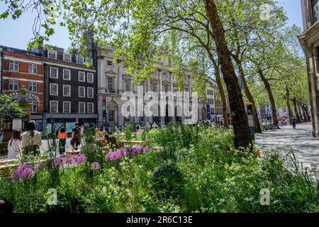 Zone piétonne du Strand, partie du Northbank Business Improvement District, Londres, Royaume-Uni Banque D'Images