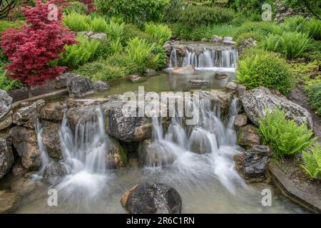 vienne, autriche. 13 mai 2023 une sérénité enchanteresse un parc paysagé de style japonais avec une cascade majestueuse en cascade depuis un mur de pierre, gand Banque D'Images