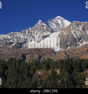 Forêt de montagne et Mont Dhaulagiri, Népal. Banque D'Images