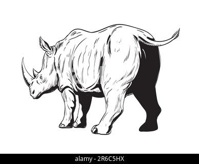 Dessin de style BD ou illustration d'un rhinocéros ou d'un rhinocéros, un ongulés à bout impair de la famille des rhinocéros, en charge vu de l'isol à angle bas Banque D'Images