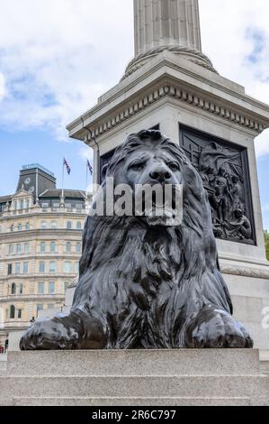 L'un des quatre lions de Trafalgar Square, qui entoure la colonne de Nelson, est communément appelé les « Lions de Landseer » Banque D'Images