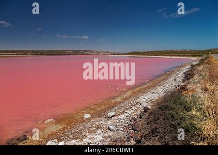 Pink Lake à Port Gregory en Australie occidentale, eaux colorées par des bactéries et des algues, beau contraste entre l'océan bleu et l'eau rose, nuages Banque D'Images