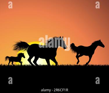 L'ossature sur fond coucher de soleil. Vector illustration. Illustration de Vecteur