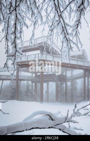 Passerelle en bois à travers les arbres, intitulé Stezka Valaska dans les montagnes de Beskydy, République Tchèque.passerelle gelée en hiver, belle plate-forme d'observation dans nat Banque D'Images