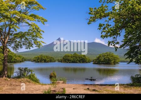 Paysage du parc quasi national d'Onuma à Hakkaido, Japon Banque D'Images