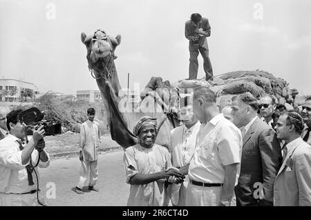 ÉTATS-UNIS Lyndon B. Johnson, vice-président, se serrer la main avec un chauffeur de chameau, Karachi, Pakistan, Thomas J. O'Halloran, États-Unis Collection de photographies du magazine News & World Report, 20 mai 1961 Banque D'Images