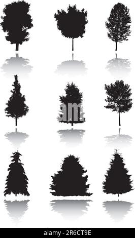 Silhouette d'un arbre. Des images similaires peuvent être trouvées dans ma galerie. Illustration de Vecteur