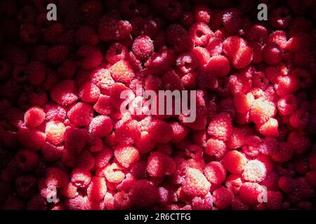 Arrière-plan de framboises rouges fraîches et douces disposées en gros plan. Fond de fruit framboise Banque D'Images