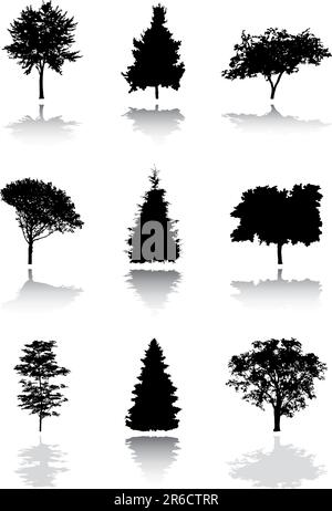 Silhouette d'un arbre. Des images similaires peuvent être trouvées dans ma galerie. Illustration de Vecteur