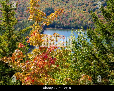Beauté stupéfiante d'un lac des montagnes Adirondack dans l'État de New York, où le paysage prend vie avec les couleurs vibrantes de l'automne contre le TH Banque D'Images
