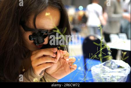 Prague, République tchèque. 8th juin 2023. Un visiteur insémet une usine au salon des sciences de Prague, en République tchèque, sur 8 juin 2023. Cette année, le salon des sciences, organisé chaque année par l'Académie des sciences de la République tchèque, se tient de 8 juin à 10 juin. Crédit: Dana Kesnerova/Xinhua/Alamy Live News Banque D'Images