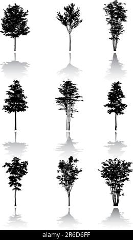 Silhouette d'un arbre. Des images similaires peuvent être trouvées dans ma galerie. Illustration de Vecteur