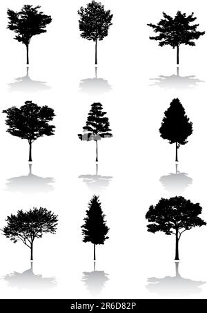 Silhouette d'un arbre. Des images similaires peuvent être trouvées dans ma galerie. Illustration de Vecteur