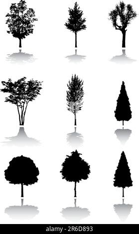 Silhouette d'un arbre. Des images similaires peuvent être trouvées dans ma galerie. Illustration de Vecteur