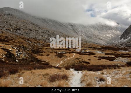 Un sentier étroit parsemé de la première neige traverse la vallée de l'intermountain un jour d'automne nuageux. Vallée de la rivière Naryn-Gol, Altaï, Sibérie, Ru Banque D'Images